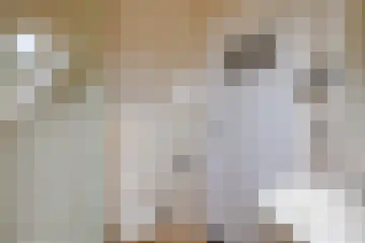 Indira Gandhilaan 31 Goes thumbnail 23