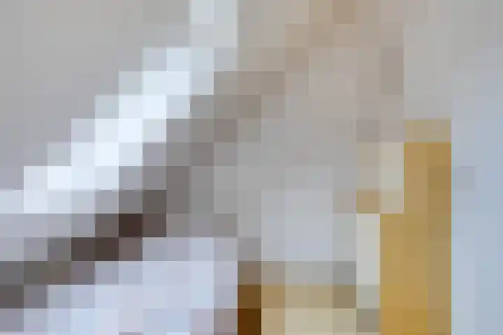 Indira Gandhilaan 31 Goes thumbnail 28
