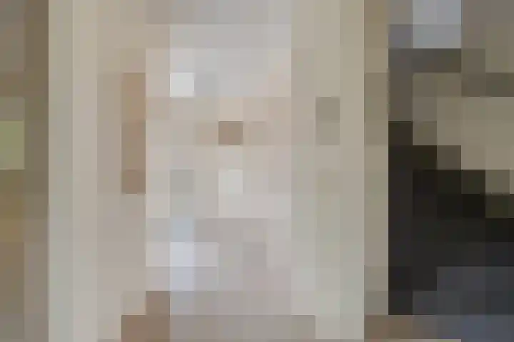 Indira Gandhilaan 31 Goes thumbnail 6