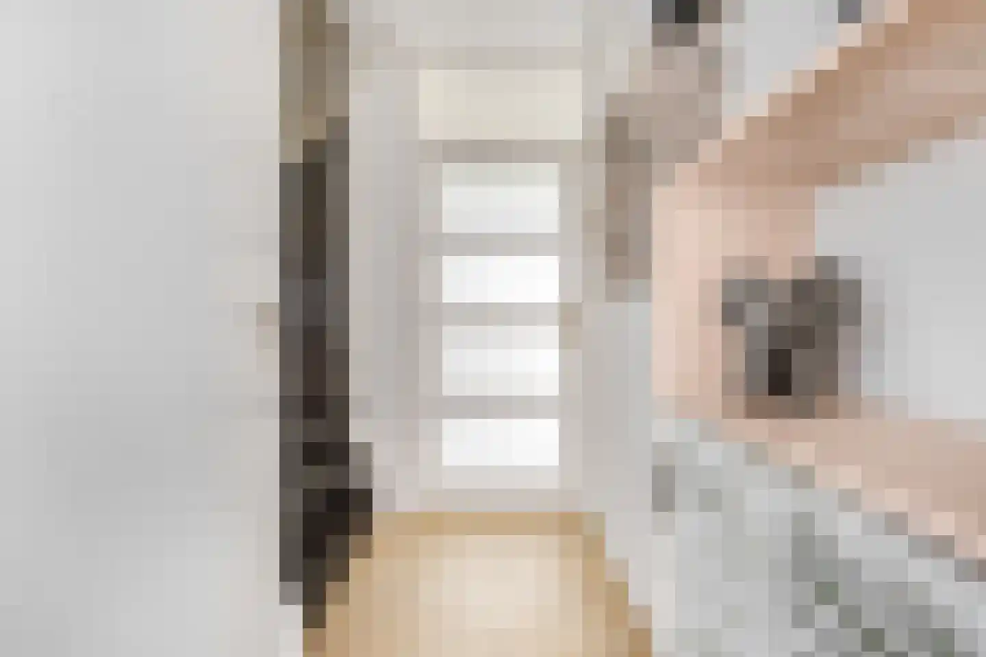 Indira Gandhisingel 10 Ede thumbnail 17