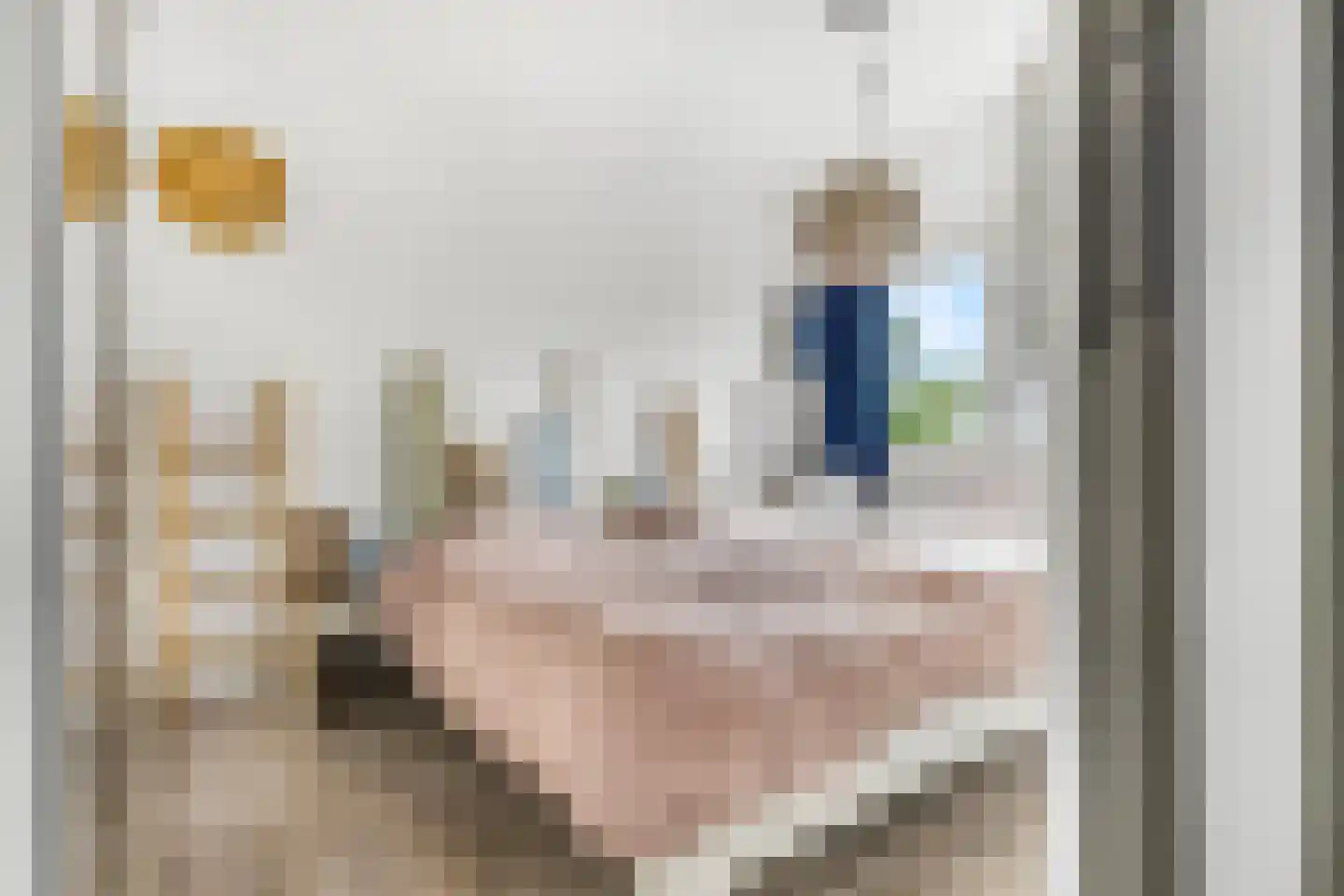 Indira Gandhisingel 10 Ede thumbnail 18