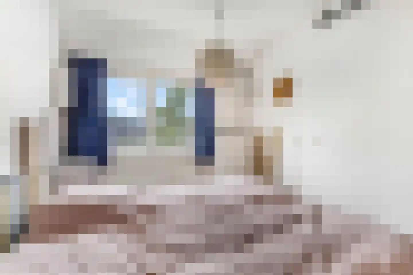 Indira Gandhisingel 10 Ede thumbnail 20