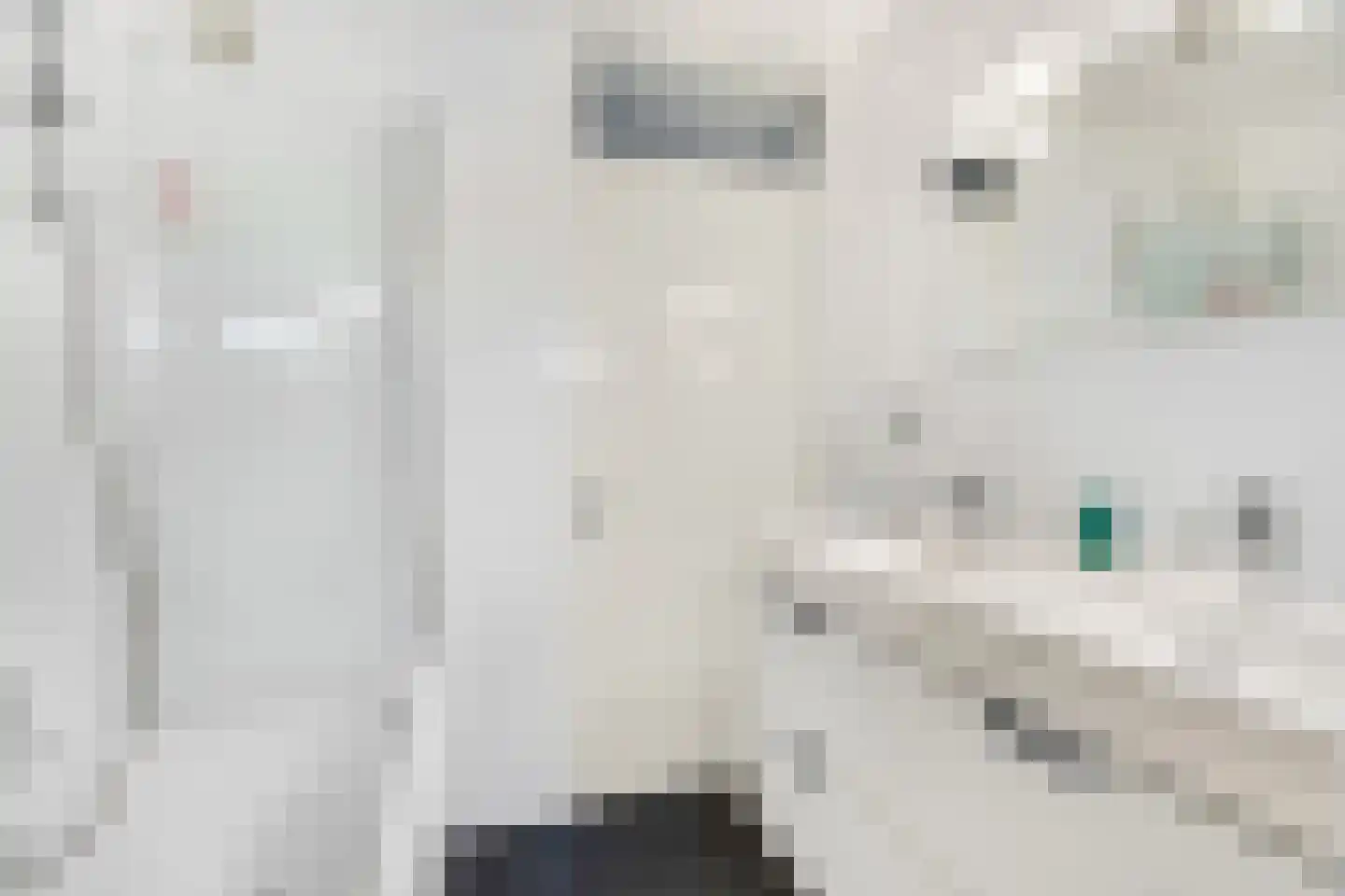 Indira Gandhisingel 10 Ede thumbnail 26