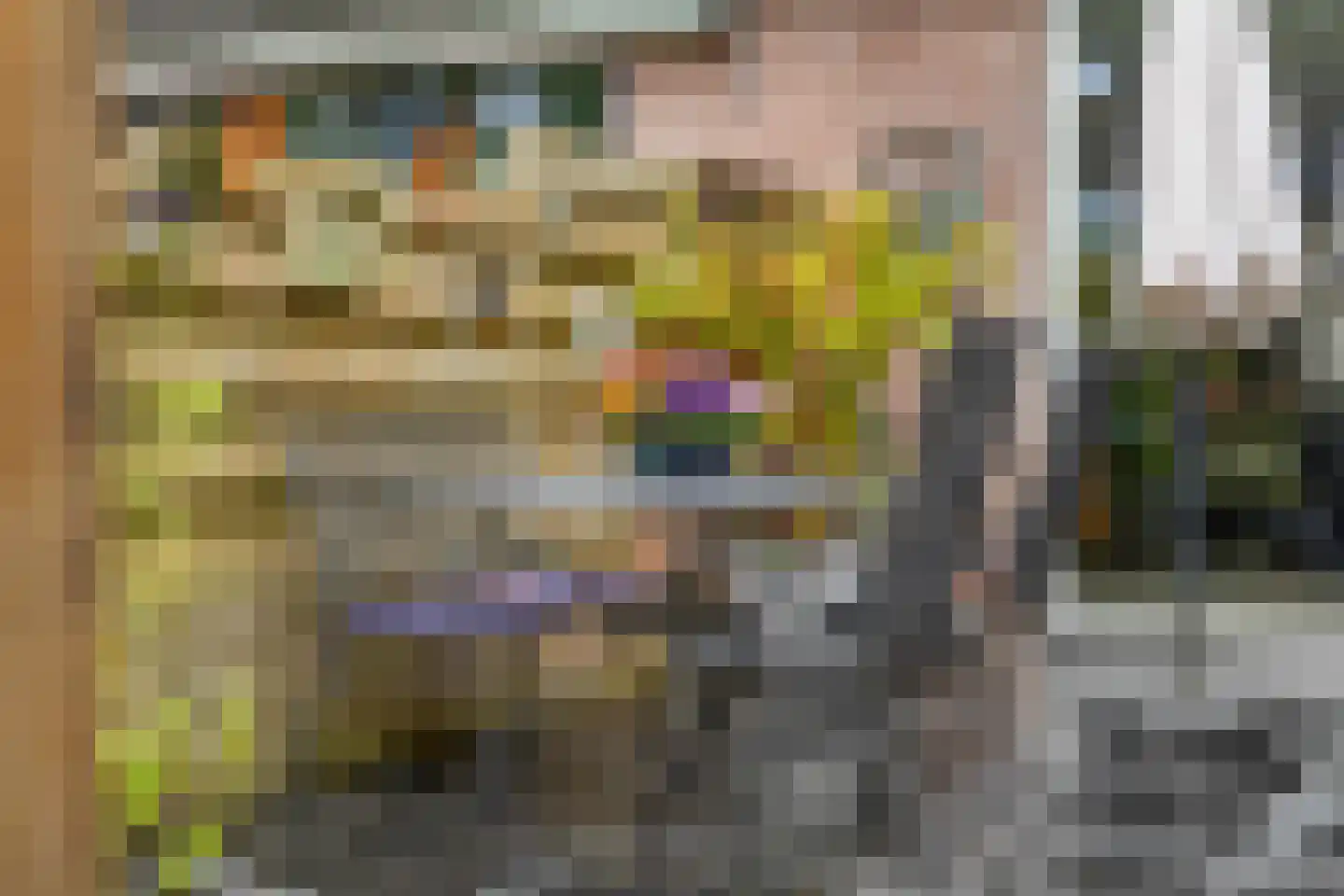 Indira Gandhisingel 10 Ede thumbnail 42