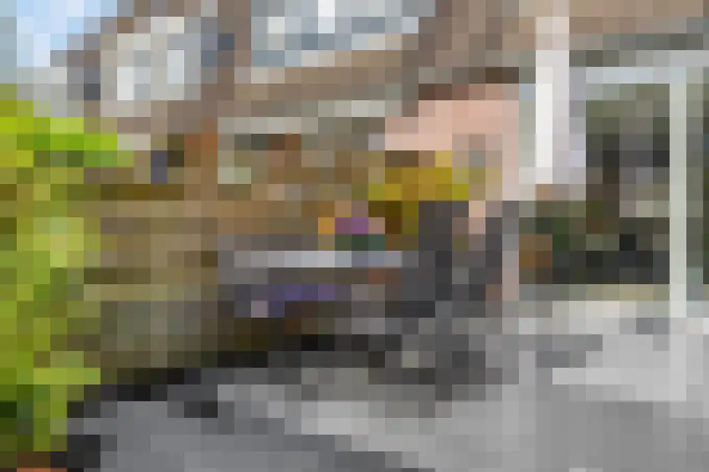 Indira Gandhisingel 10 Ede thumbnail 43