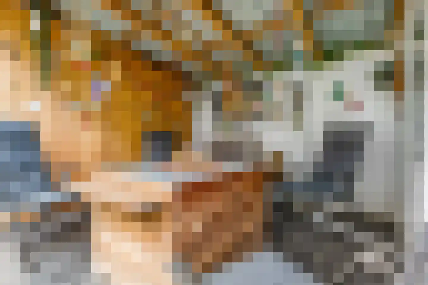 Indira Gandhisingel 10 Ede thumbnail 45