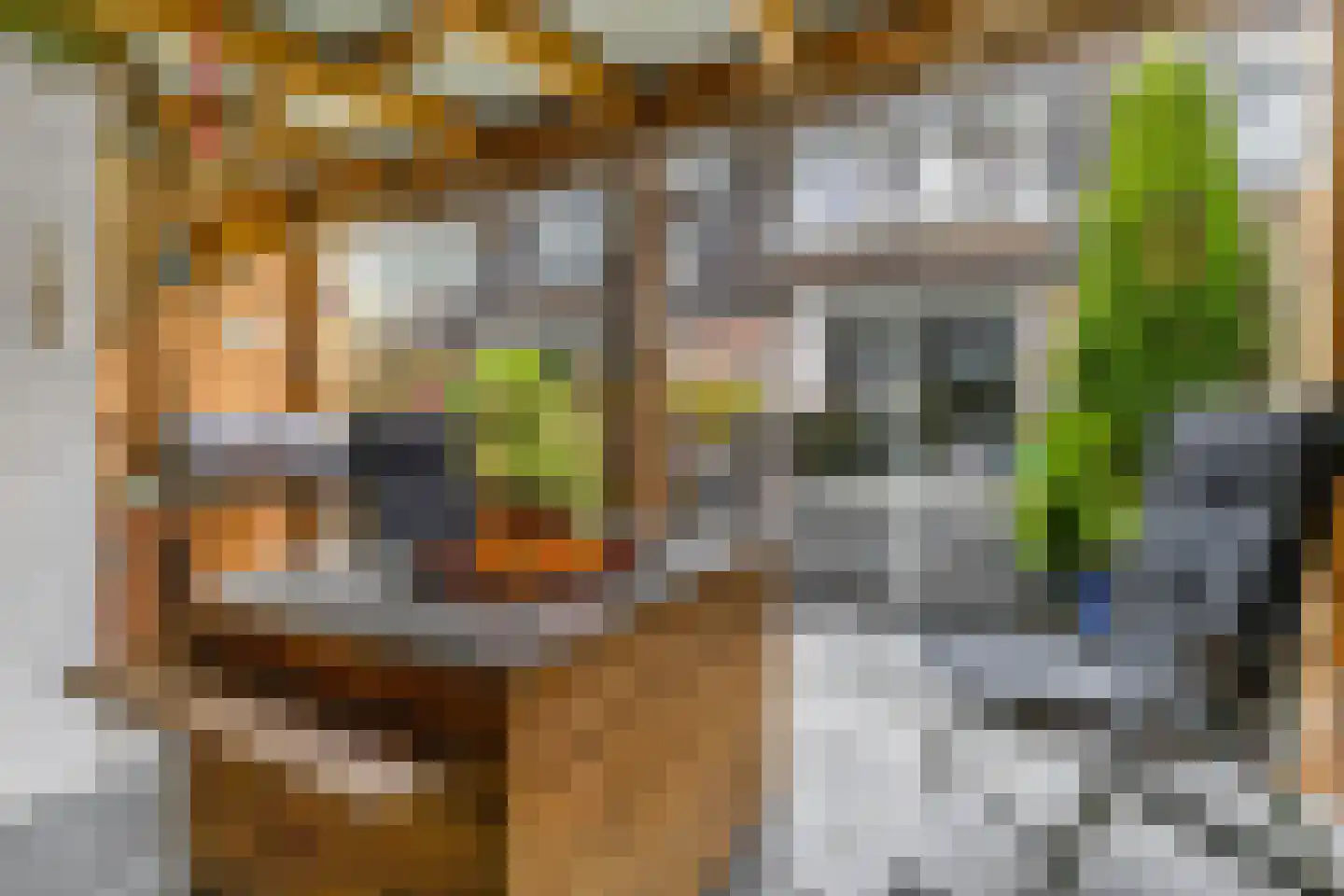 Indira Gandhisingel 10 Ede thumbnail 46