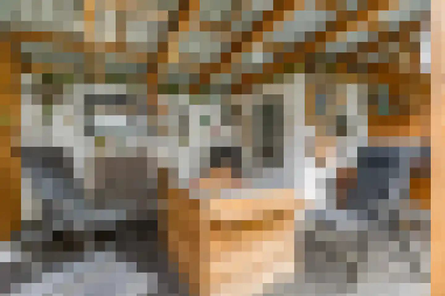 Indira Gandhisingel 10 Ede thumbnail 47