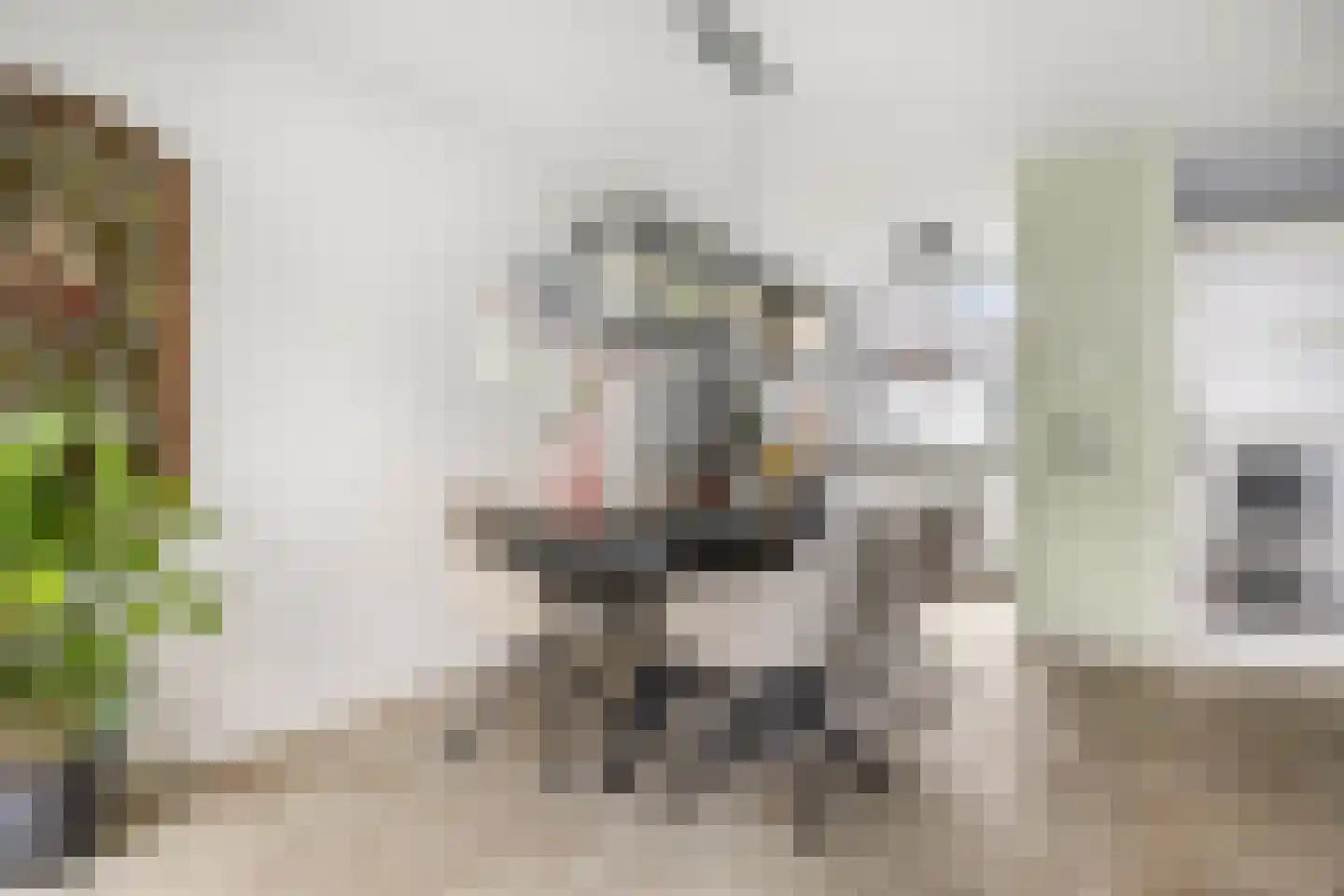 Indira Gandhisingel 10 Ede thumbnail 7