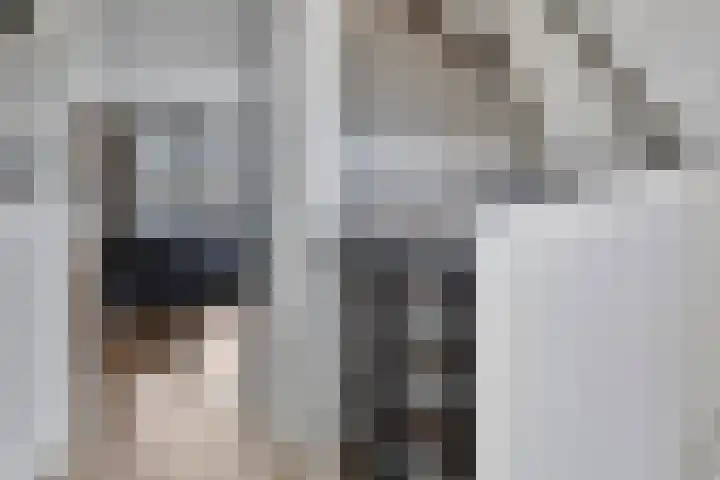 Indira Gandhisingel 13 Ede thumbnail 12