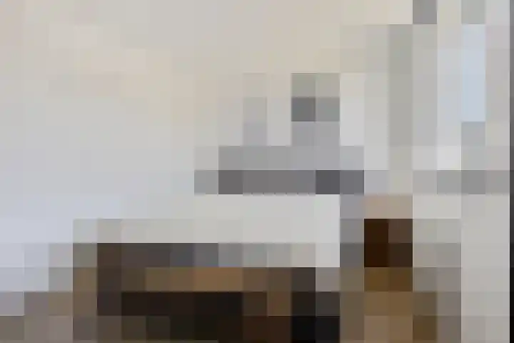 Indira Gandhisingel 13 Ede thumbnail 14
