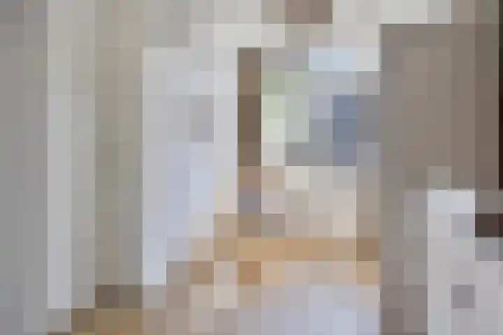 Indira Gandhisingel 13 Ede thumbnail 16