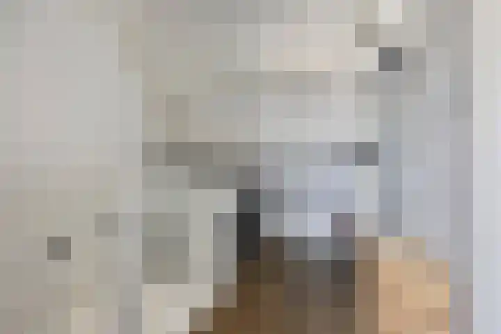 Indira Gandhisingel 13 Ede thumbnail 20