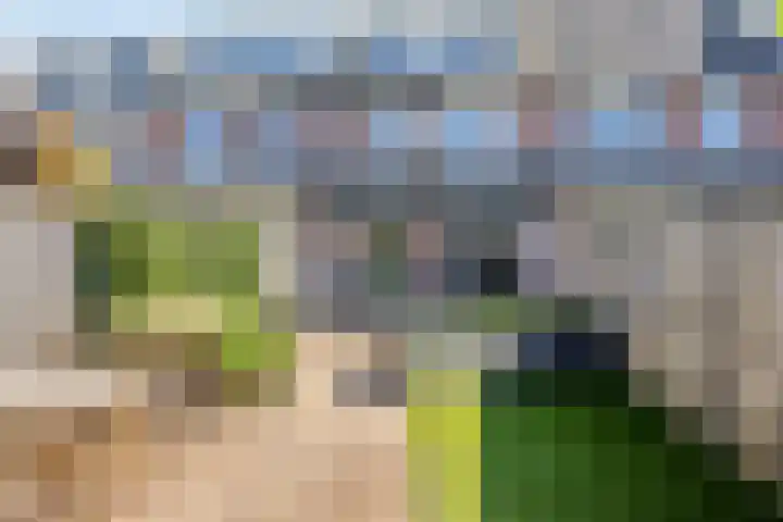 Indira Gandhisingel 13 Ede thumbnail 24