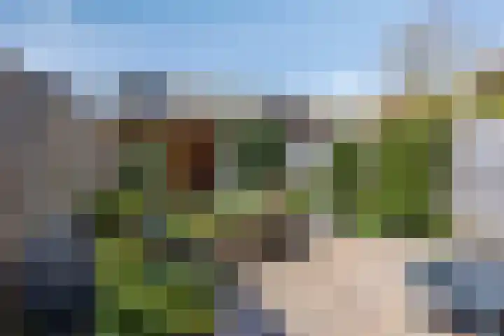 Indira Gandhisingel 13 Ede thumbnail 26