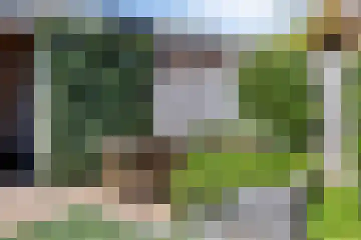 Indira Gandhisingel 13 Ede thumbnail 27