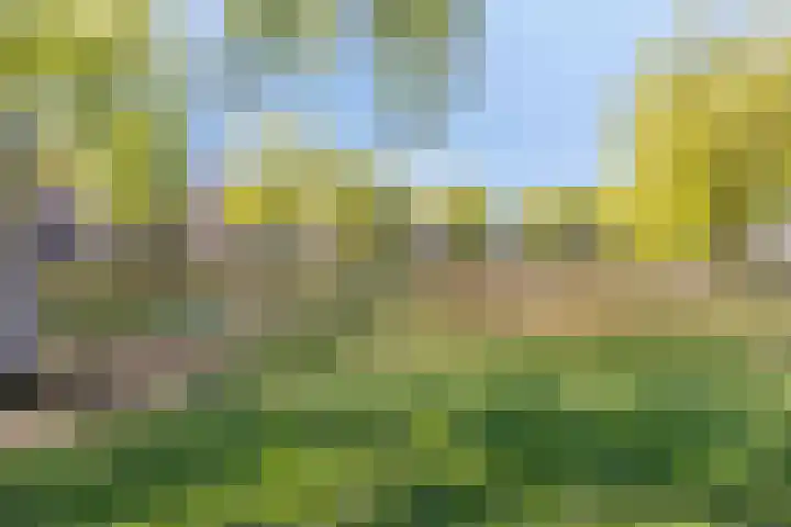 Indira Gandhisingel 13 Ede thumbnail 31