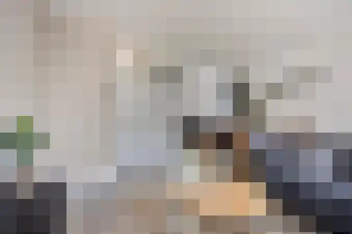 Indira Gandhisingel 13 Ede thumbnail 4