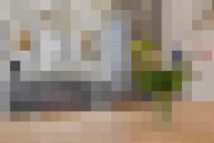 Indira Gandhisingel 13 Ede thumbnail 9