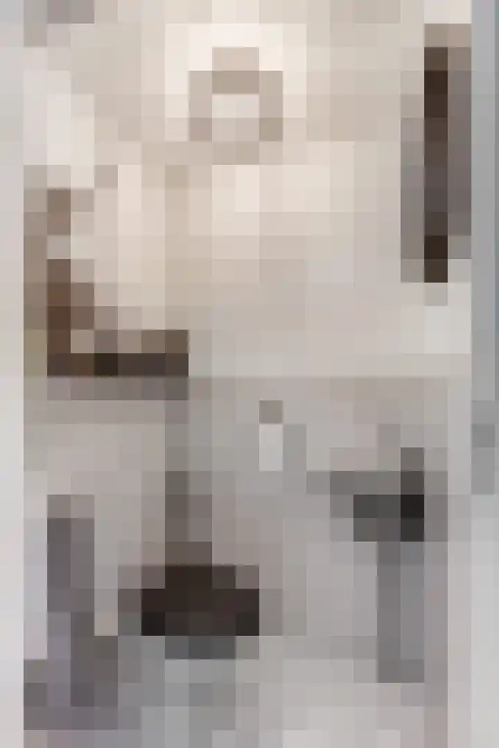 Indira Gandhisingel 6 Ede thumbnail 12