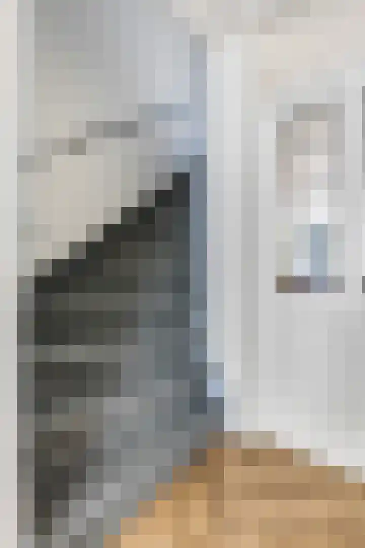 Indira Gandhisingel 6 Ede thumbnail 13