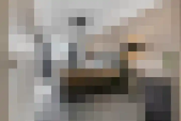 Indira Gandhisingel 6 Ede thumbnail 14