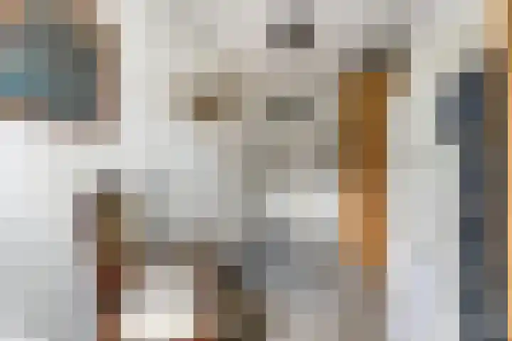 Indira Gandhisingel 6 Ede thumbnail 16