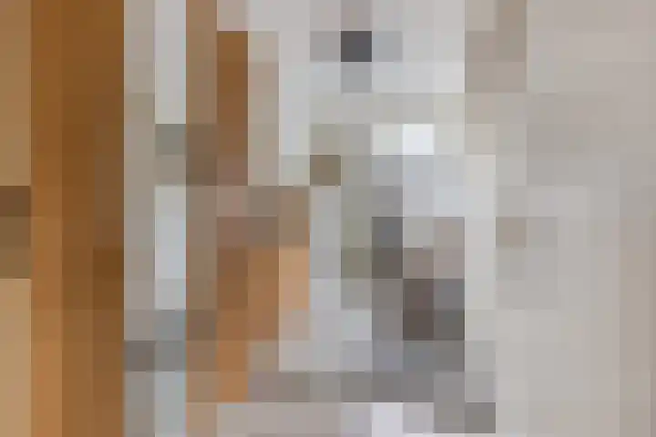 Indira Gandhisingel 6 Ede thumbnail 17