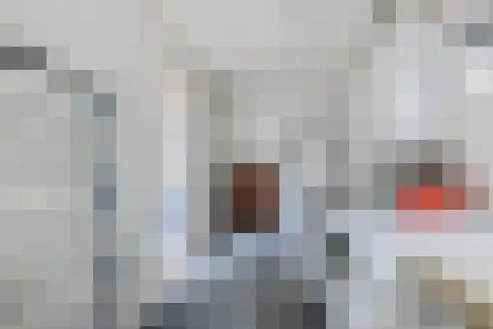 Indira Gandhisingel 6 Ede thumbnail 21