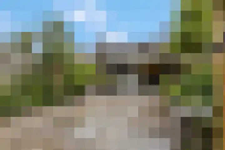Indira Gandhisingel 6 Ede thumbnail 24