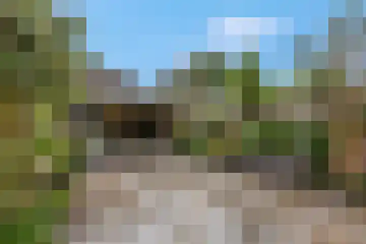 Indira Gandhisingel 6 Ede thumbnail 25