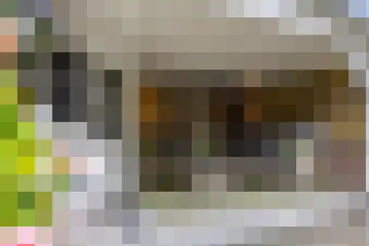 Indira Gandhisingel 6 Ede thumbnail 26