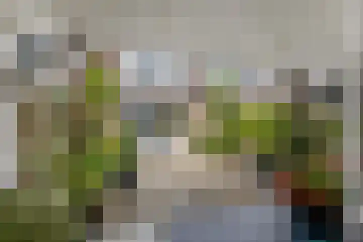 Indira Gandhisingel 6 Ede thumbnail 27