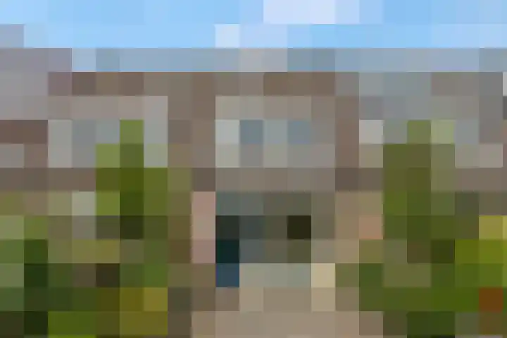 Indira Gandhisingel 6 Ede thumbnail 28