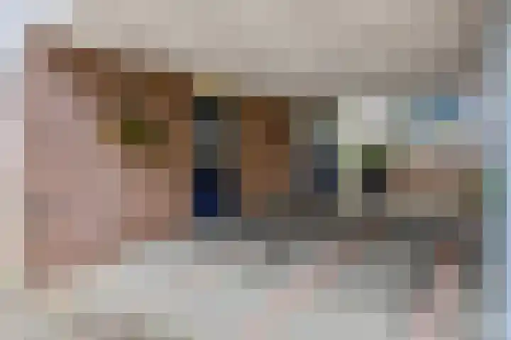 Indira Gandhisingel 6 Ede thumbnail 30