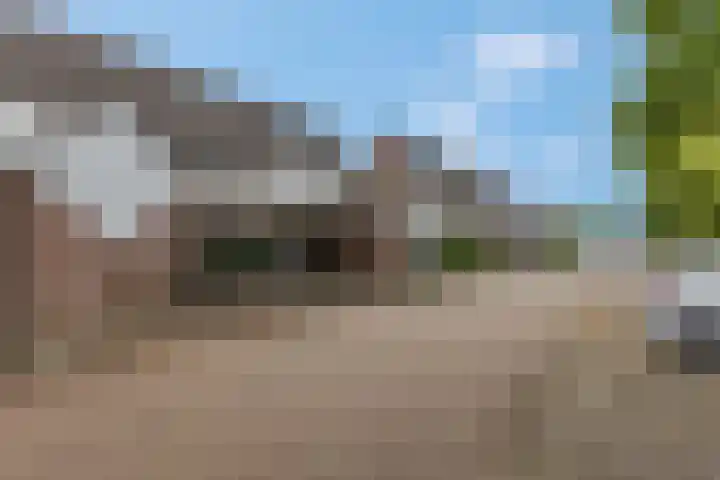 Indira Gandhisingel 6 Ede thumbnail 31