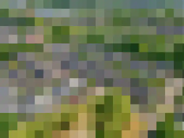Indira Gandhisingel 6 Ede thumbnail 36