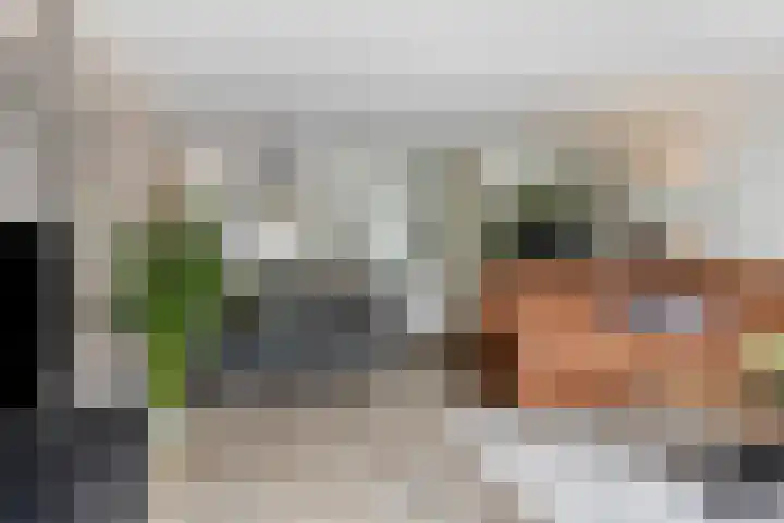 Indira Gandhisingel 6 Ede thumbnail 4