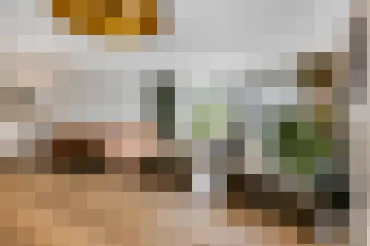 Indira Gandhisingel 6 Ede thumbnail 6