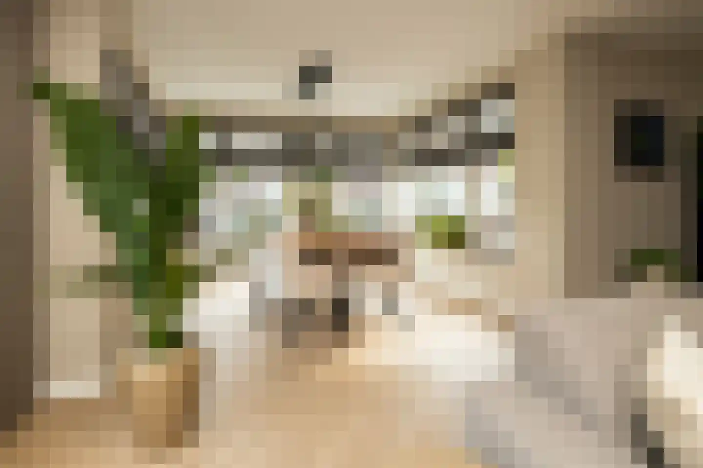 Indische Oceaan 45 Naaldwijk thumbnail 14