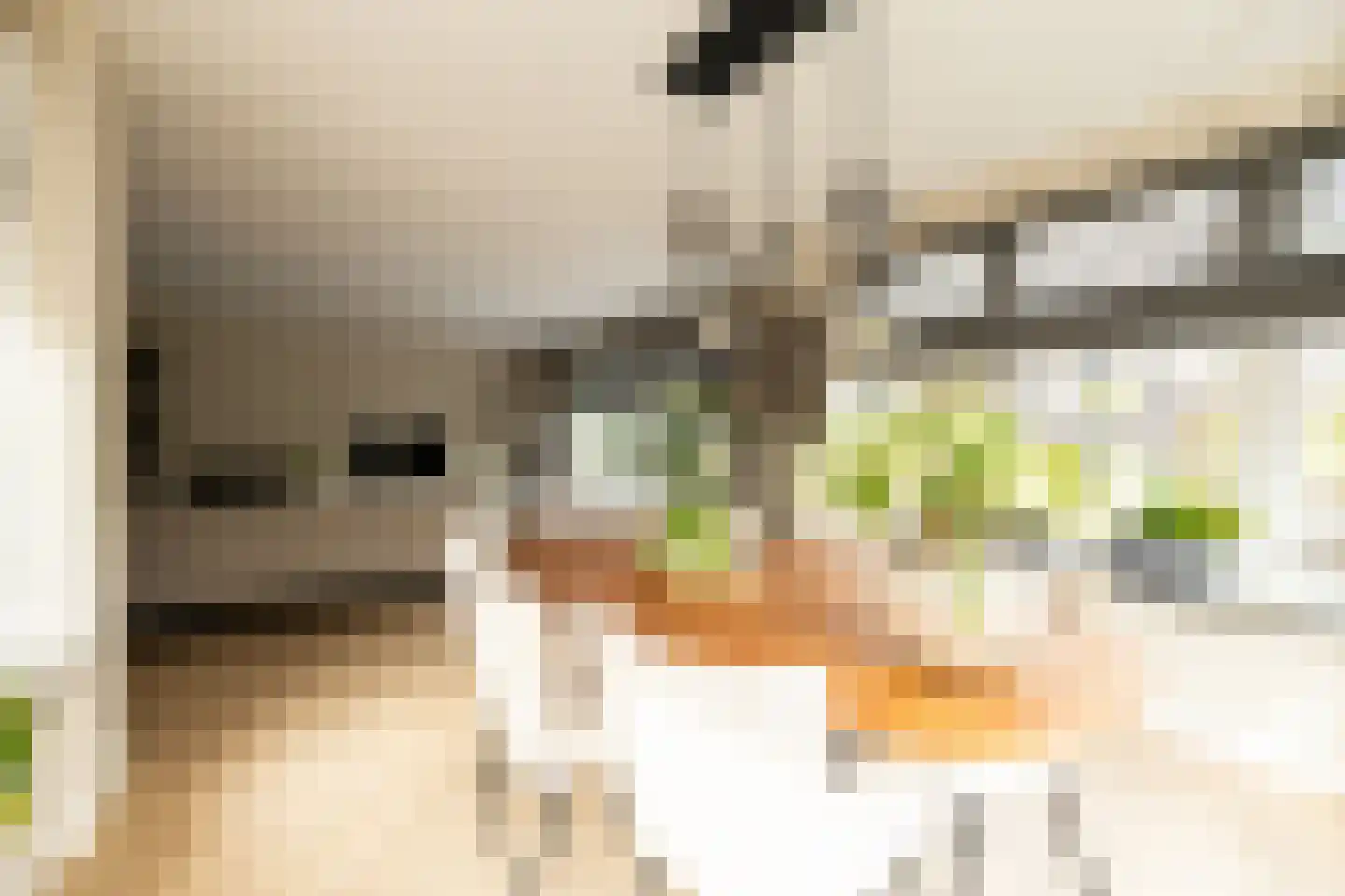 Indische Oceaan 45 Naaldwijk thumbnail 16