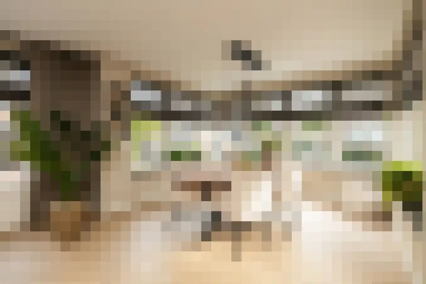Indische Oceaan 45 Naaldwijk thumbnail 17