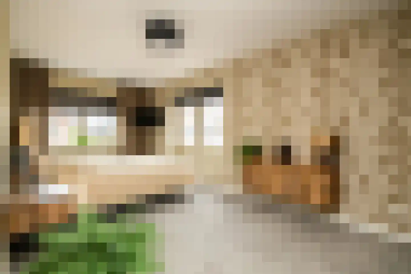 Indische Oceaan 45 Naaldwijk thumbnail 24