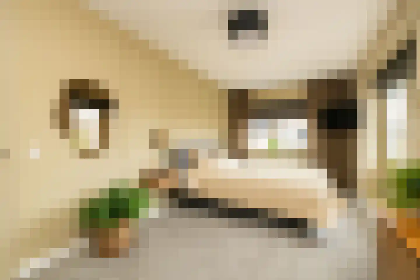 Indische Oceaan 45 Naaldwijk thumbnail 25