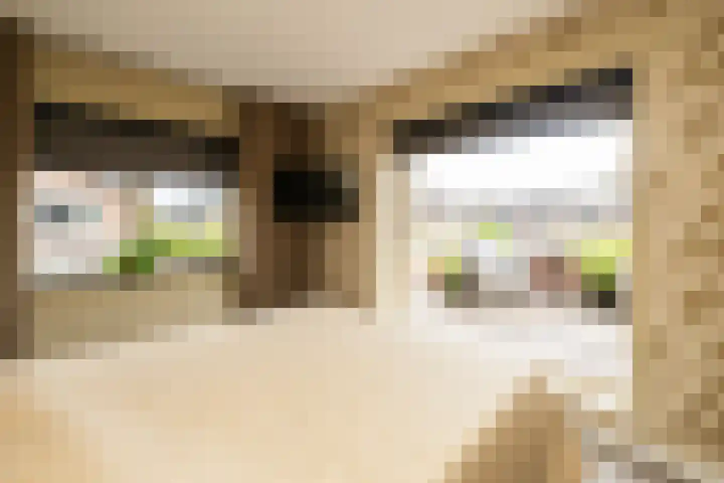 Indische Oceaan 45 Naaldwijk thumbnail 27