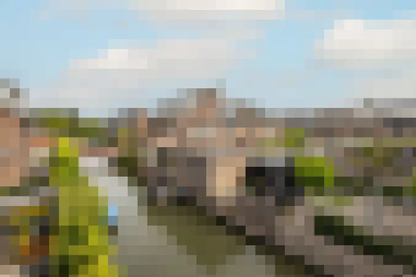 Indische Oceaan 45 Naaldwijk thumbnail 29