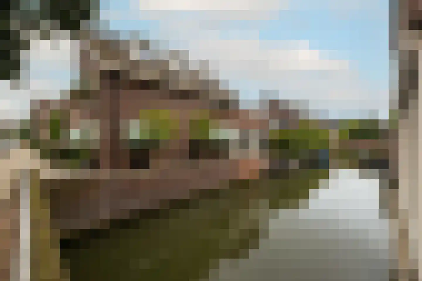 Indische Oceaan 45 Naaldwijk foto 3
