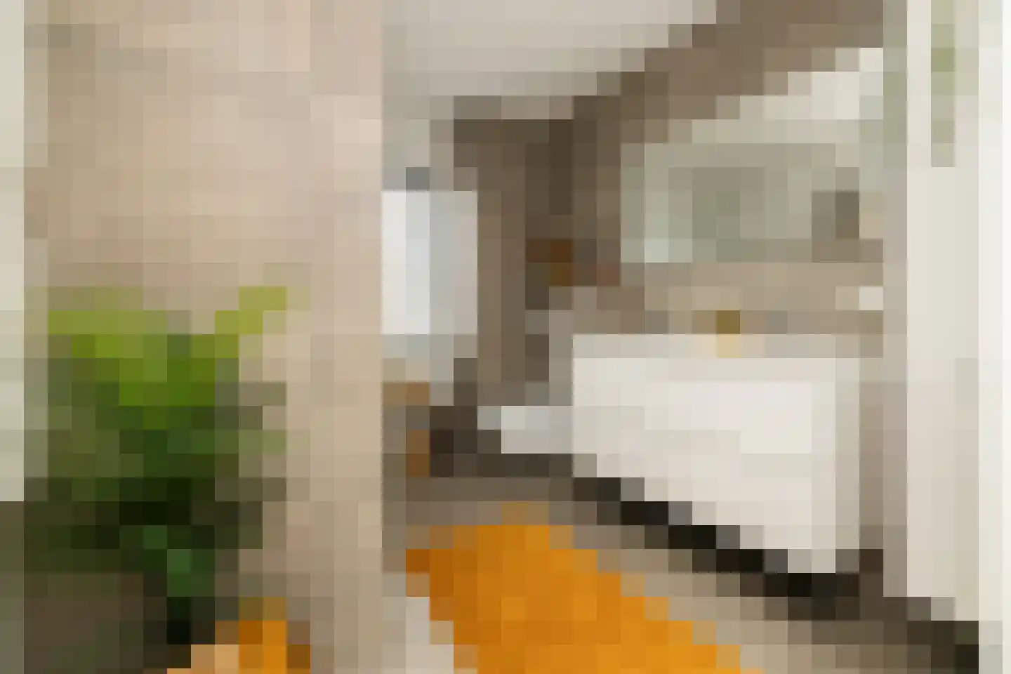 Indische Oceaan 45 Naaldwijk thumbnail 32
