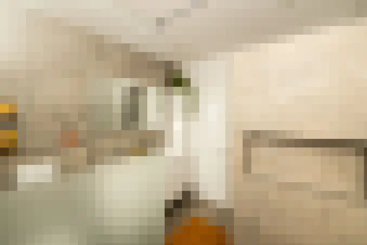 Indische Oceaan 45 Naaldwijk thumbnail 34