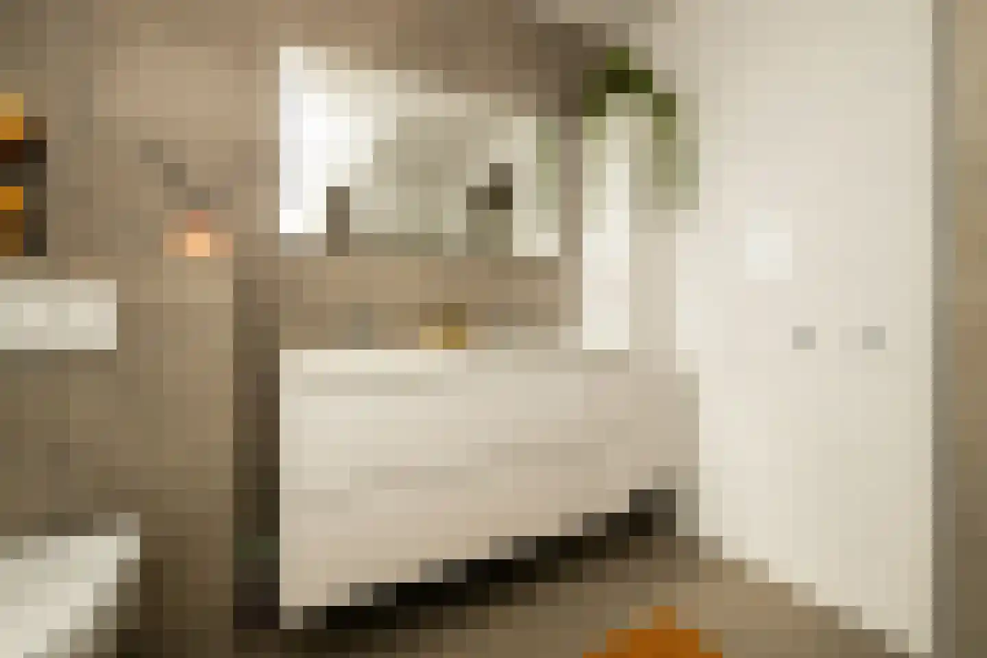 Indische Oceaan 45 Naaldwijk thumbnail 35